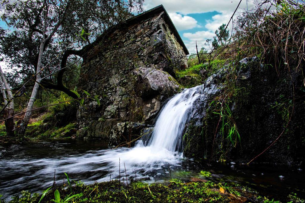 Casa Do Padre Konuk evi Proença-a-Nova Dış mekan fotoğraf